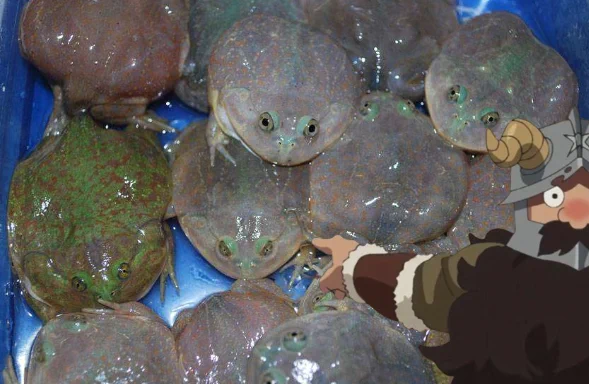 v amused w a senshi image i found so im tormenting my boyfriend w it 