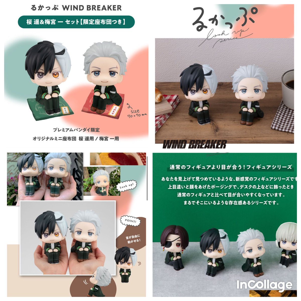 WIND BREAKER るかっぷ ・桜遥 ・梅宮一 6月6日予約開始！ ご予約は
