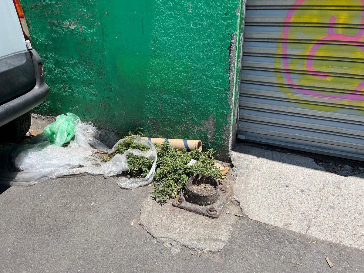 _vigogo's tweet photo. @AlcaldiaMHmx Donde se puede pedir que pasen a recoger basura?, la zona de recibo de la bodega Aurrerá de Mar mediterraneo en Tacuba , dejan basura y tarimas. @BodegaAurrera https://t.co/3ewH1JJEaz