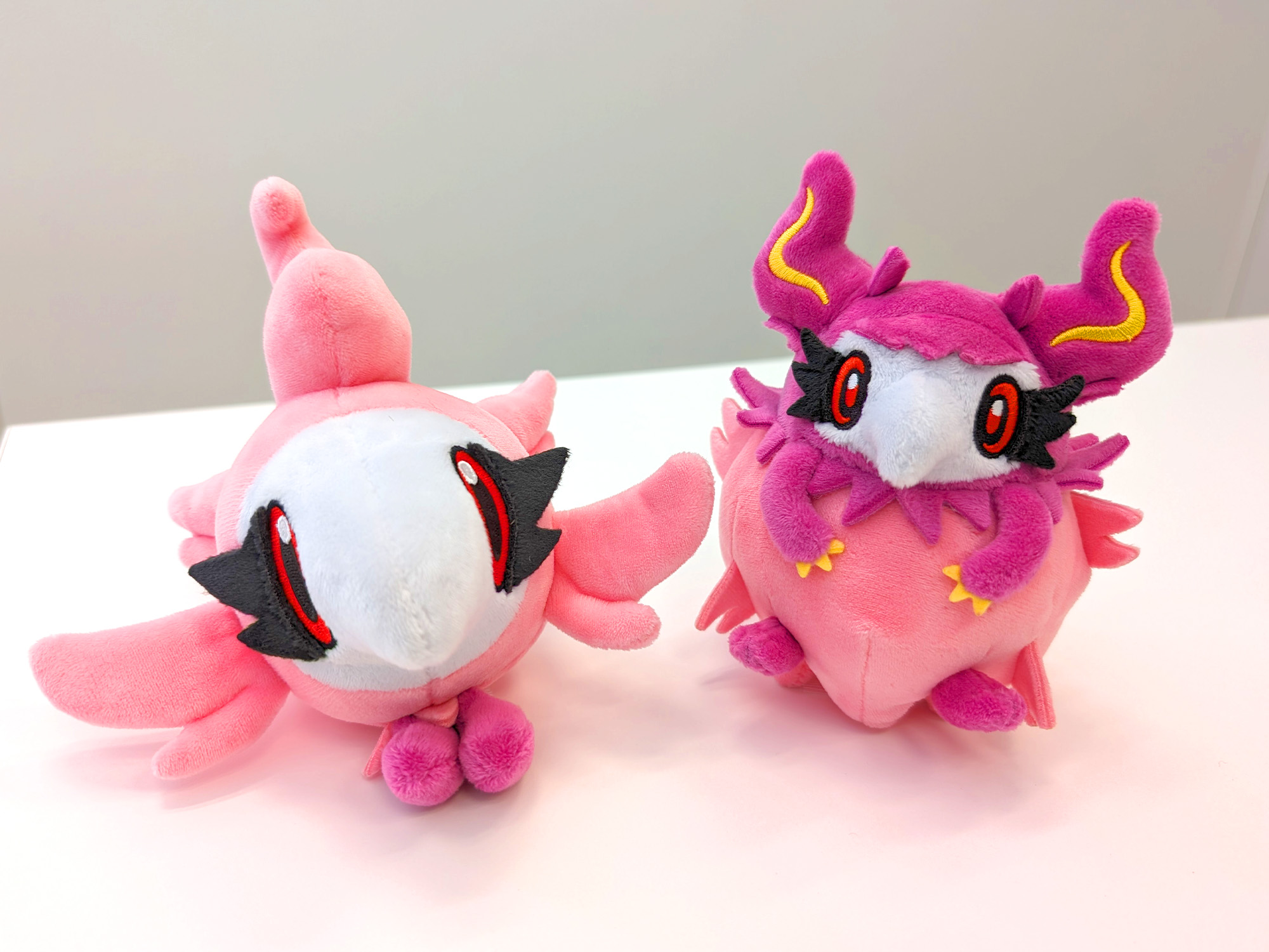 ポケモンだいすきクラブ編集部【公式】 on X: 