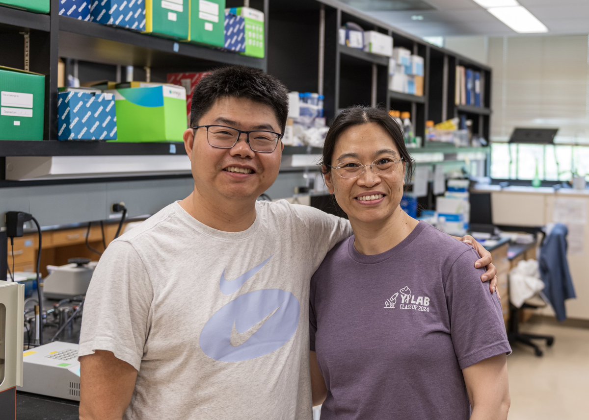 Yi_Lab_NU's tweet photo. Also we have @cadyyuheng’s spatial transcriptomics paper accepted by @GenomeBiology today, 11 years after Jie published his thesis work there. Very proud of our fantastic students. https://t.co/DwoqXS5wFO