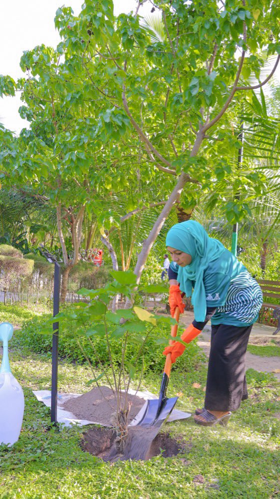 MAAWmv's tweet photo. Minister @AishaRamy plants a tree in the inauguration of the nationwide 5 Million Trees Project!

@MoEnvmv 

#GenerationRestoration #WorldEnvironmentDay
#MageySaafuRaajje https://t.co/I3YjIM2qZc