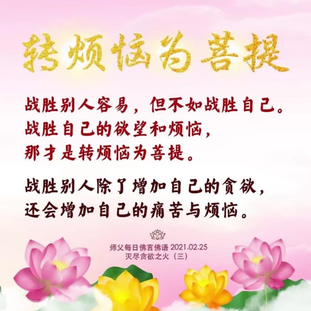 Words of Wisdom 智慧佛语 开悟人生 (@GuanYinCitta_) / Posts / X