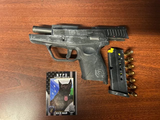 NYPD Special Ops (@nypdspecialops) on Twitter photo 2 days
3 guns
2 different locations
1 outstanding ESU-K9 team
ESU-K9 Officer Loschiavo & his partner K-Man assisted the <a href="/NYPD83Pct/">NYPD 83rd Precinct</a> with a search of a vehicle & <a href="/NYPD113Pct/">NYPD 113th Precinct</a> with a search of a premises. K-Man recovered 3 loaded illegally possessed firearms. 2 days
3 guns
2 different locations
1 outstanding ESU-K9 team
ESU-K9 Officer Loschiavo & his partner K-Man assisted the <a href="/NYPD83Pct/">NYPD 83rd Precinct</a> with a search of a vehicle & <a href="/NYPD113Pct/">NYPD 113th Precinct</a> with a search of a premises. K-Man recovered 3 loaded illegally possessed firearms.