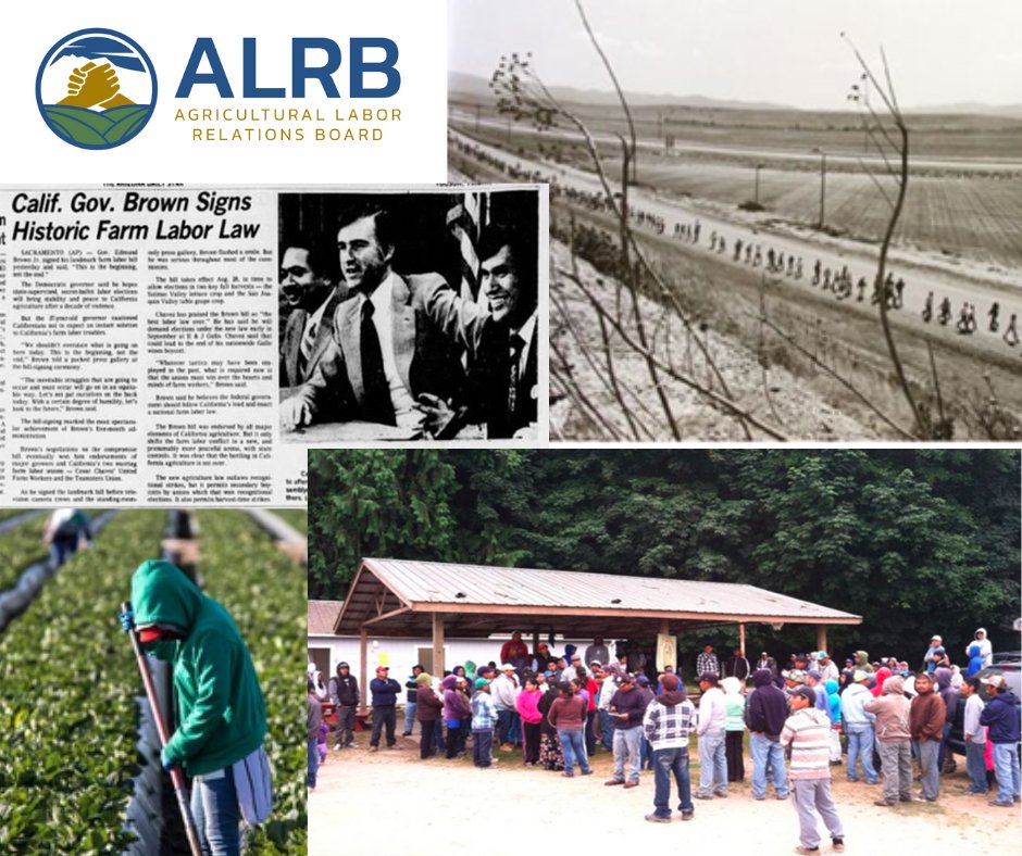 alrb_ca's tweet photo. On this day in 1975, former California Governor Jerry Brown signed the Agricultural Labor Relations Act into law.
To learn more about ALRB and farmworkers' rights under this act click here: https://t.co/jrGxHBXLtW
#ALRB #AgricultureWorkers #LaborRights #FairnessInTheField https://t.co/7S1eoZ4aRE