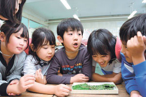 長野県岡谷市の岡谷蚕糸博物館は、学習に使う春蚕の配布を今年度も始めた。４日は同市の長地小学校に１７０頭が届けられ、３年１組の児童26人が蚕の生態や飼育について学習。ふ化から９日目を迎えた小さな幼虫に見入り、大切に育てたいと意気込んだ。nagano-np.co.jp/news/detail.ph…