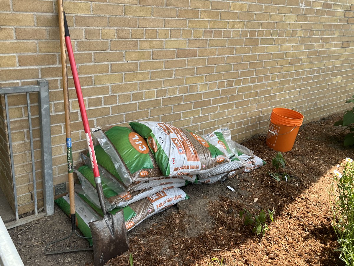 Today, Ms. Arnold and students were busy adding mulch to our developing native plants pollinator garden, partly funded by a Peel EcoSchools Grant. #EcoTeam