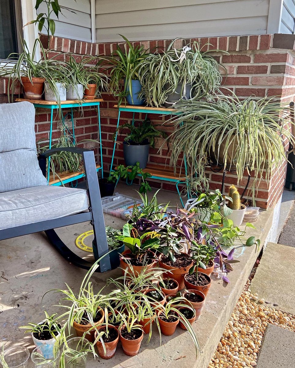 NATarteducator's tweet photo. Tell me your a teacher on summer vacation without telling me your on summer vacation….Also not pictured; the insect living in an aquarium in the garage from Mr. Tucker’s science room. Happy Summer!!! 😎#bamsartroom #summer https://t.co/enXzL2hHVe