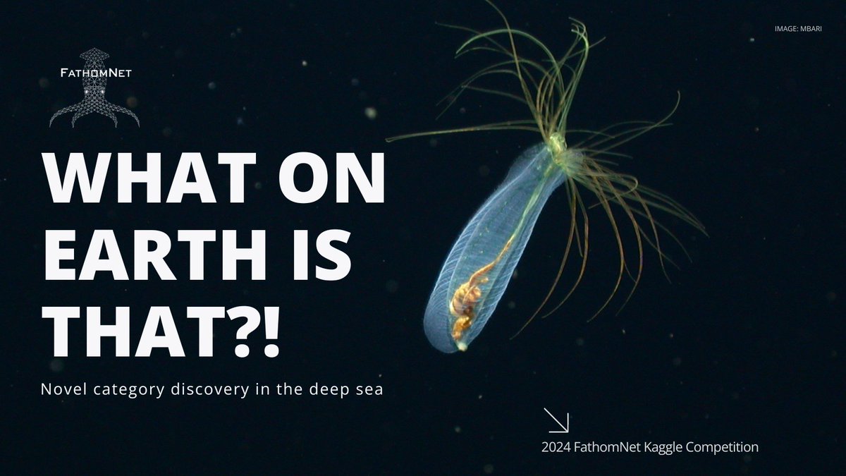 Schmidt Ocean (@schmidtocean) on Twitter photo Are you ready for a #TechTuesday challenge? Join the <a href="/FathomNet/">FathomNet</a> #Kaggle competition with <a href="/fgvcworkshop/">FGVC Workshop</a> to show us how you would develop a model that can recognize 18 supercategories and flag unknown objects. The deadline to submit is June 12. ➡️ bit.ly/3wLZXkM
#CVPR2024 Are you ready for a #TechTuesday challenge? Join the <a href="/FathomNet/">FathomNet</a> #Kaggle competition with <a href="/fgvcworkshop/">FGVC Workshop</a> to show us how you would develop a model that can recognize 18 supercategories and flag unknown objects. The deadline to submit is June 12. ➡️ bit.ly/3wLZXkM
#CVPR2024