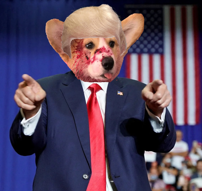 Jamdogcoin's tweet photo. @wallstreetbets Make Jamdog great again! https://t.co/xErElOEFo0