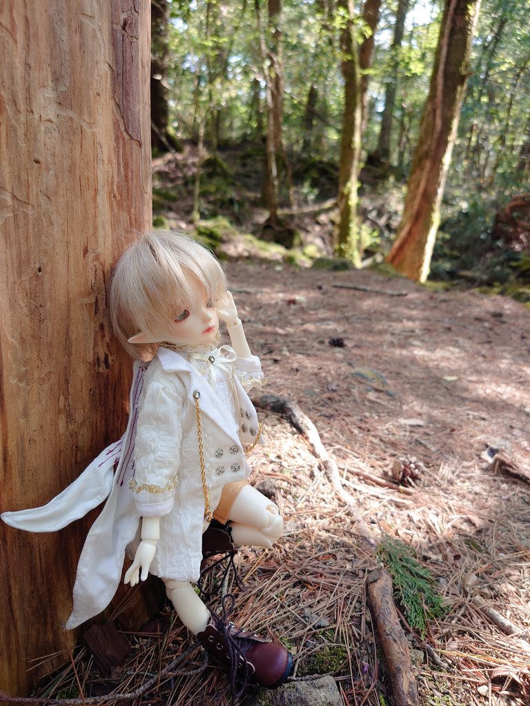 eisheilige19's tweet photo. 青木ヶ原樹海の中の怜音。
遊歩道から外れるのは怖くて出来ないけど、樹海はとても惹かれていつも行く。
森に射し込む光が綺麗で、それをもっとうまく捉えられたらいいのにな。
#dollzone #littlerain
#うちのこかわいい
#おはドル https://t.co/tIhaKTInWB