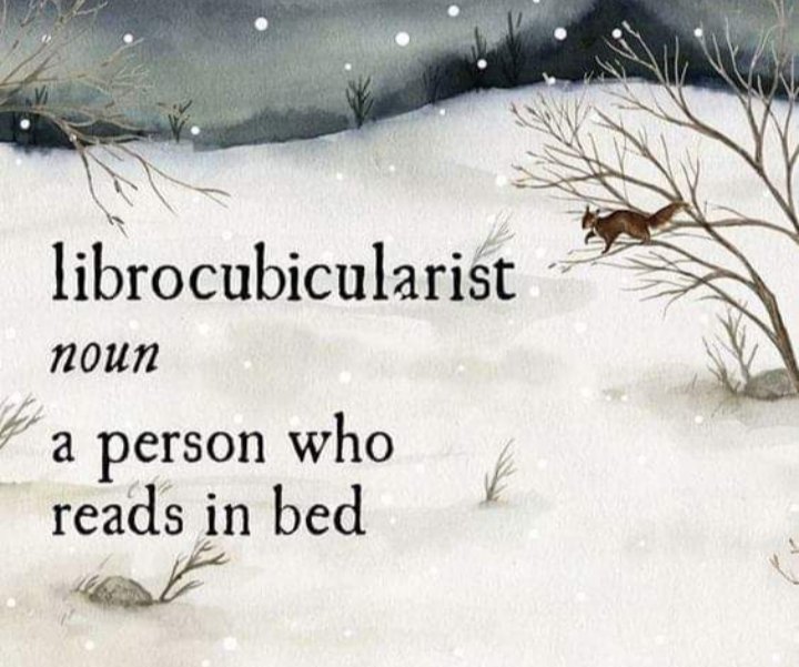 reader_viking's tweet image. 