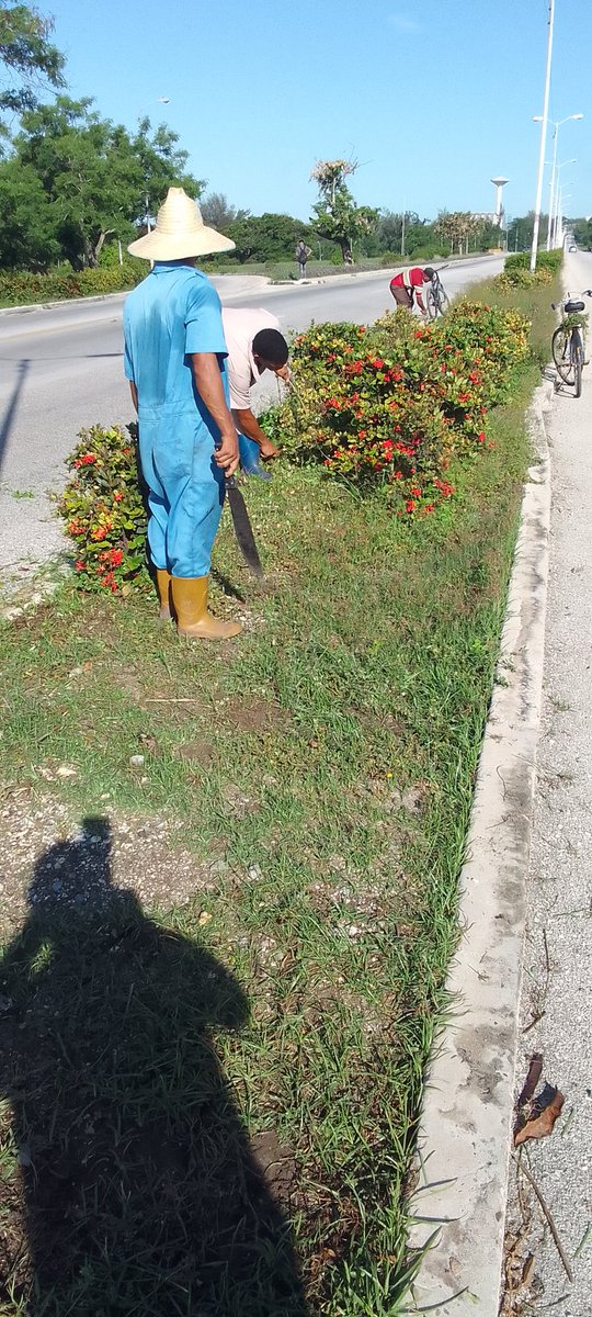 Disney Ajo Raez (@ajodisney) on Twitter photo 