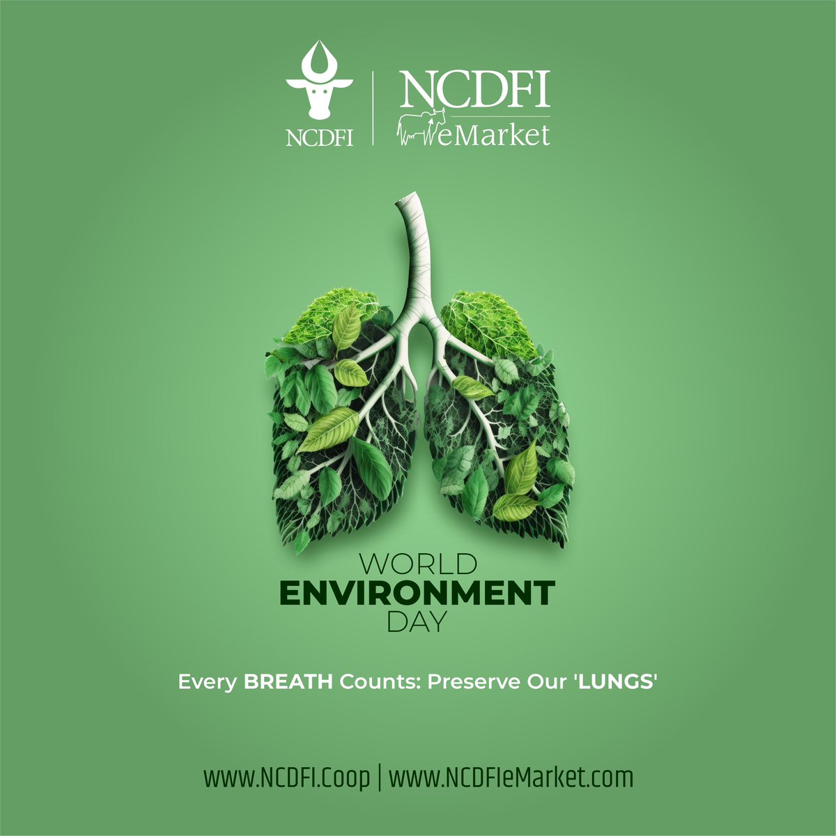 National Cooperative Dairy Federation of India Ltd tweet media