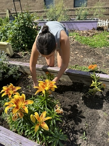 GREEN RUN NHS tweet media