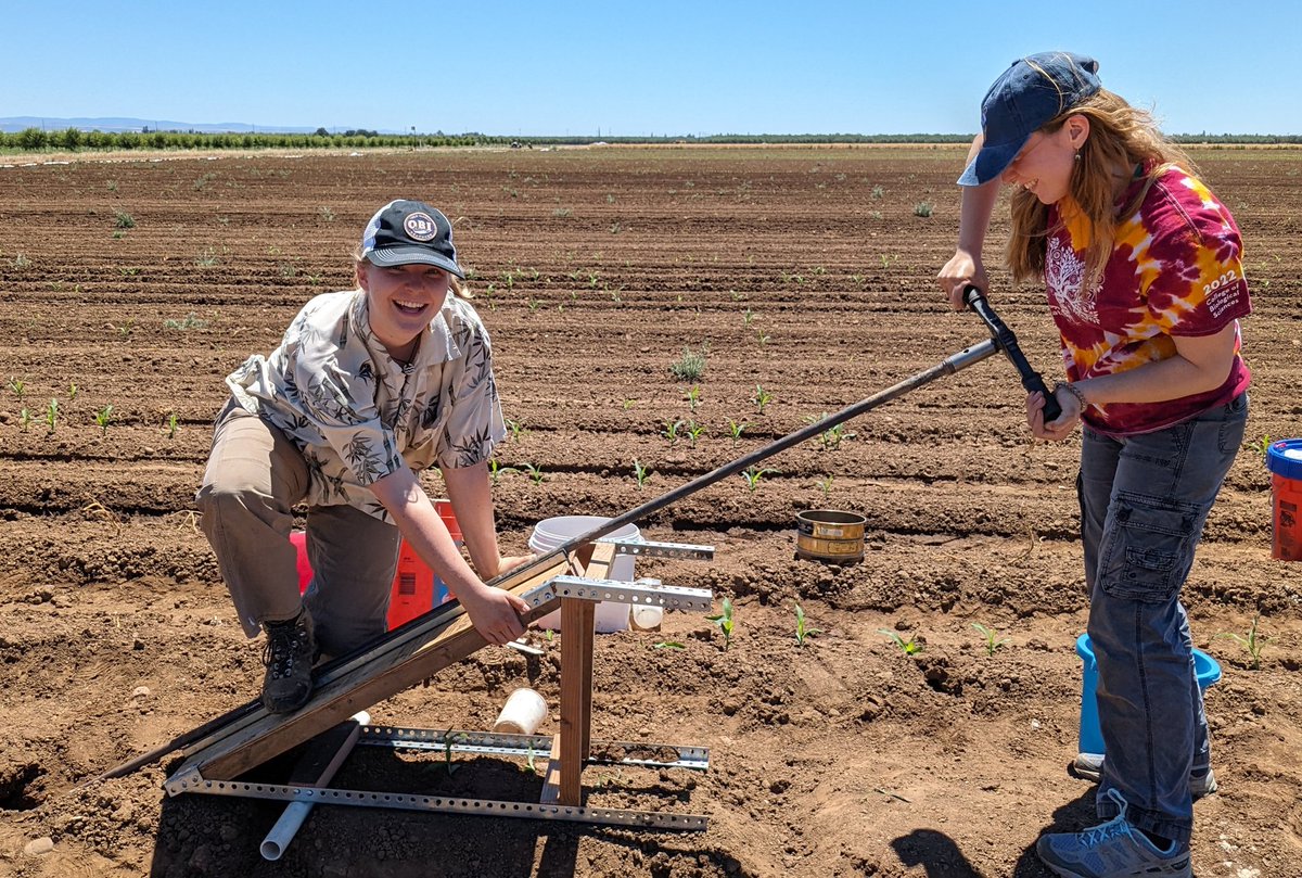 Arshdeep Singh (@singharshdeep_) on Twitter photo Installing suction-cup lysimeters: Great work by the team led by @SandrineMatias1 & @gcliles!! Stay tuned for results from regenerative and conventional practices on water quality, in northern California.
<a href="/CSUChicoRegenAg/">CSU, Chico Center for Regenerative Agriculture</a> Installing suction-cup lysimeters: Great work by the team led by @SandrineMatias1 & @gcliles!! Stay tuned for results from regenerative and conventional practices on water quality, in northern California.
<a href="/CSUChicoRegenAg/">CSU, Chico Center for Regenerative Agriculture</a>