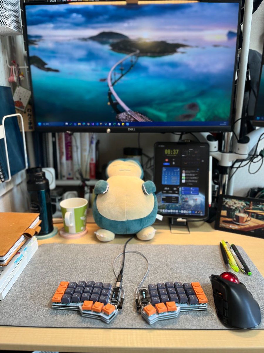 us_key51's tweet photo. 今日は #CorneCherry とトラックボール🖲️
今までV3と書いてたこのキーボード、実はV2でしたw 基盤にもちゃんと書いてあるやんっていう…。買った時最新がV3だったから勘違いしたのかな😅
お気に入りには変わりないので、引き続き使い倒していきます〜
#自作キーボード #デスク周り #狭デスク https://t.co/evQbDE1FN7