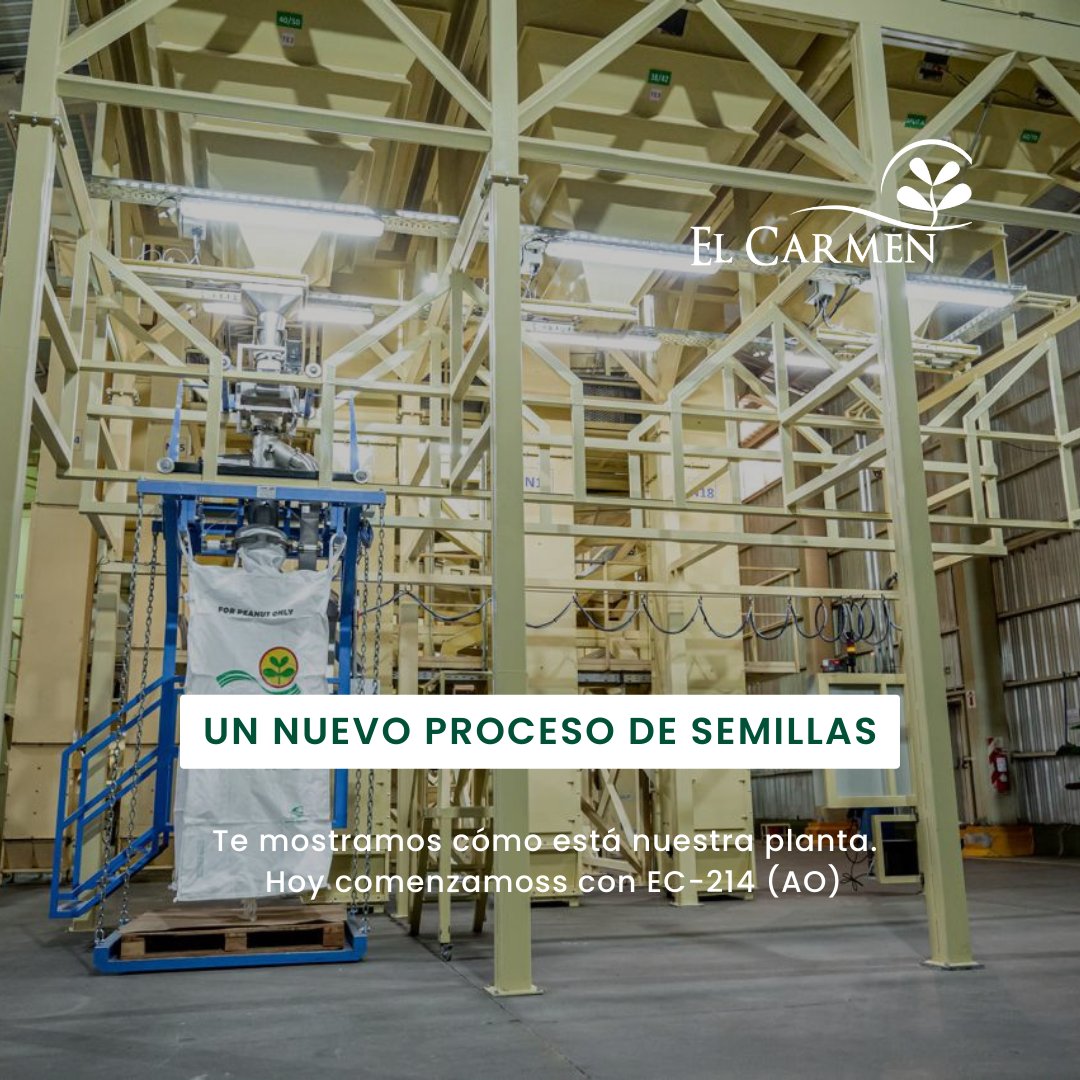 Semillasdemani's tweet photo. ¡Hoy comenzamos con EC-214 (AO)!
Mirá cómo está nuestra planta para comenzar un nuevo proceso de semillas. 
Felicitaciones a todo el equipo que pone tanto esmero en que todo quede perfectamente impecable para comenzar. https://t.co/1kSfPVNU84