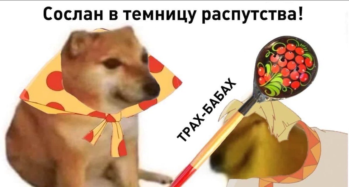 volga_volga tweet media