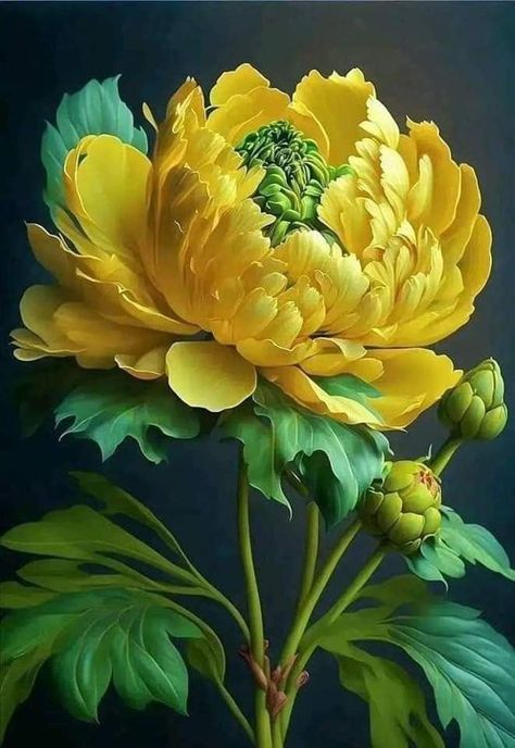 رضوی شیر tweet media