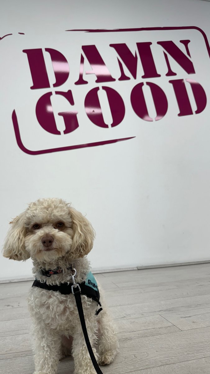 damn_good_prod's tweet photo. In honour of Teddy's first week at Damn Good, we'd like to give everyone who books the podcast studio in June a 20% discount. https://t.co/N6U2C05mNY https://t.co/HeOMfx1bAE