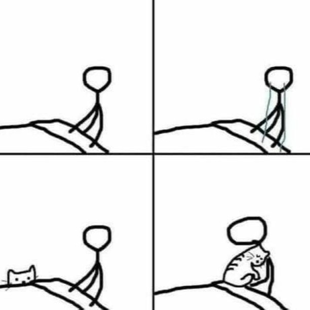 Punch Cat (@punchingcat) on Twitter photo 