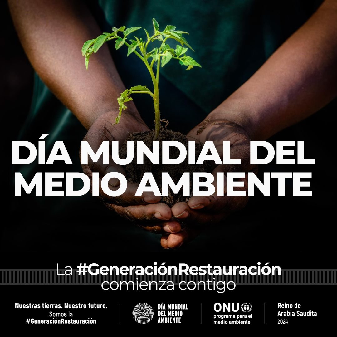 ¡Feliz #DíaDelMedioAmbiente! 🌻

⚠️ Pero las noticias no son tan felices cuando se trata de nuestro 🌎. Los ecosistemas están en peligro.

🌱 La buena noticia es que todos podemos formar parte de la #GeneraciónRestauración por un futuro más verde: worldenvironmentday.global/es/get-involve…