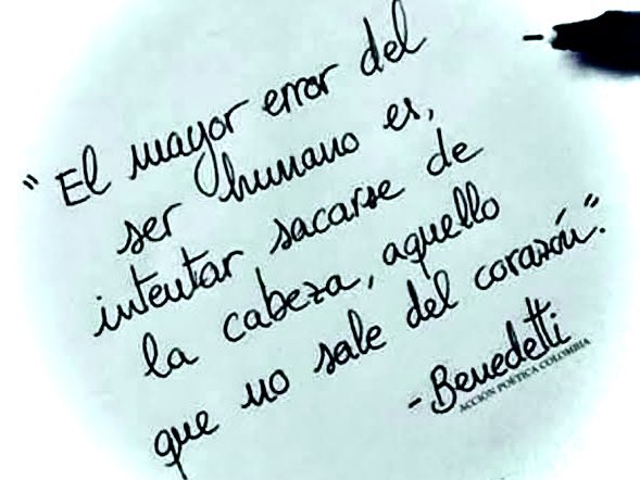 Eva Rodriguez tweet media