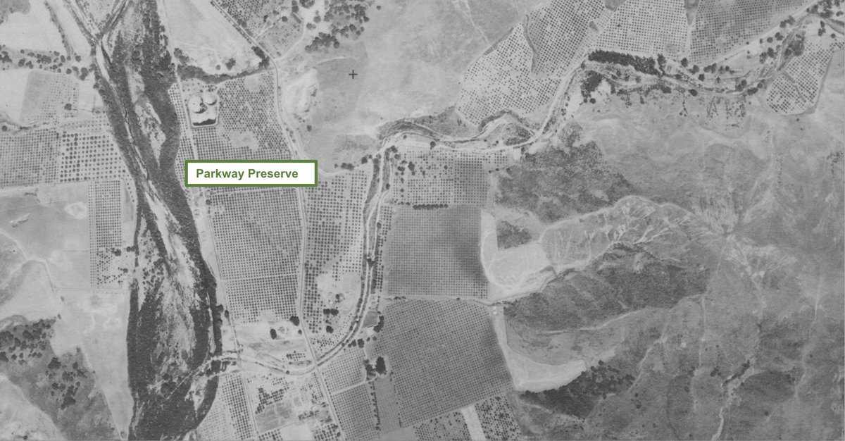 MERITO Foundation tweet media