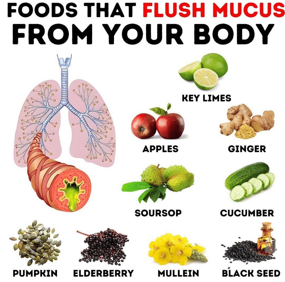 FredsFarm247's tweet photo. Flush that mucus out your body👇🏽 https://t.co/IGtYhEimD4