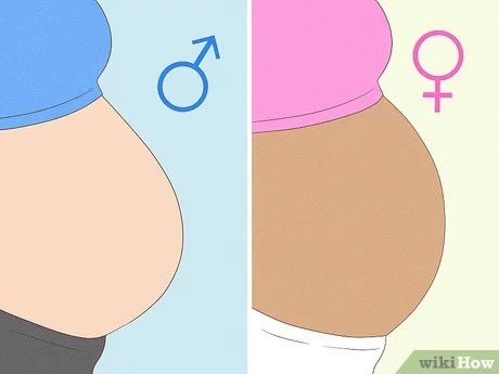 xoLynnB's tweet image. they saying boy pregnancy’s and girl pregnancy’s stomachs are shaped different . I think it’s accurate.