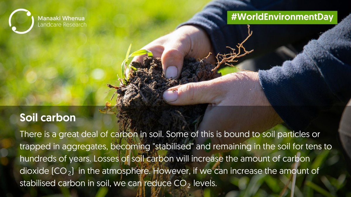 Manaaki Whenua Landcare Research (@mwlr_nz) on Twitter photo Today marks #WorldEnvironmentDay, a day to understand the importance of nature and highlight challenges we face. Our work at <a href="/mwlr_nz/">Manaaki Whenua Landcare Research</a> tackles these challenges head on, esp. #soil, #biodiversity, #biosecurity, #climate change & people's interactions with the environment Today marks #WorldEnvironmentDay, a day to understand the importance of nature and highlight challenges we face. Our work at <a href="/mwlr_nz/">Manaaki Whenua Landcare Research</a> tackles these challenges head on, esp. #soil, #biodiversity, #biosecurity, #climate change & people's interactions with the environment