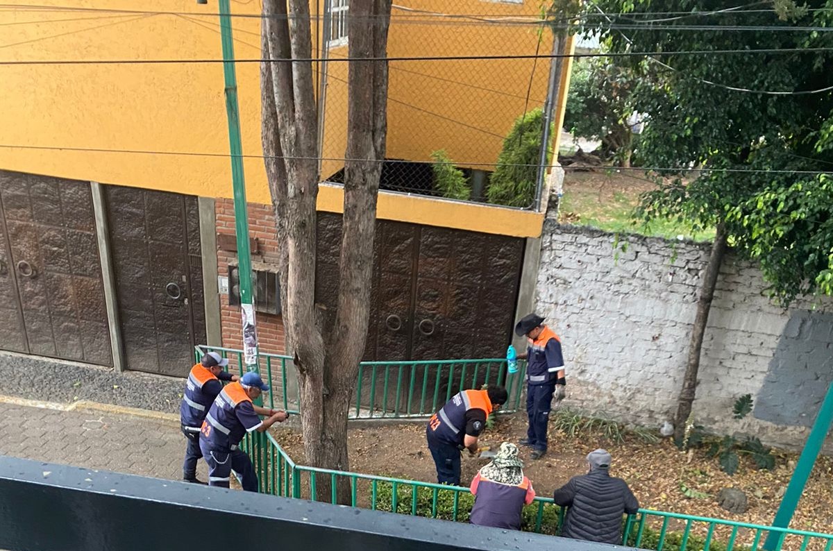 Patsy_Loc's tweet photo. Un grupo de personas sin identificación vino a desechar en una jardinera en la via publica y enterrar residuos  con olor a gas y lo cubrieron con cloro  (calle emiliano zapa,la malinche) @CNPC_MX @m_contrerascdmx @Bomberos_CDMX  ya se reporto y nadie ha brindado atención. https://t.co/ZZ1wHo6AsI