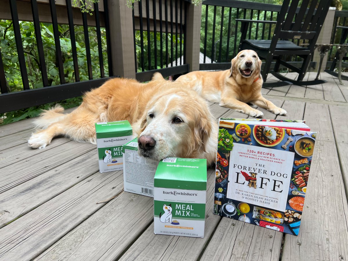 DJordanLane's tweet photo. It’s #ReleaseDay for my #ForeverDogs. Oakley and Goldie Hawn look fwd to more recipes. #BetterBowls
@drkarenbecker @RodneyHabib https://t.co/rok6RR86cY