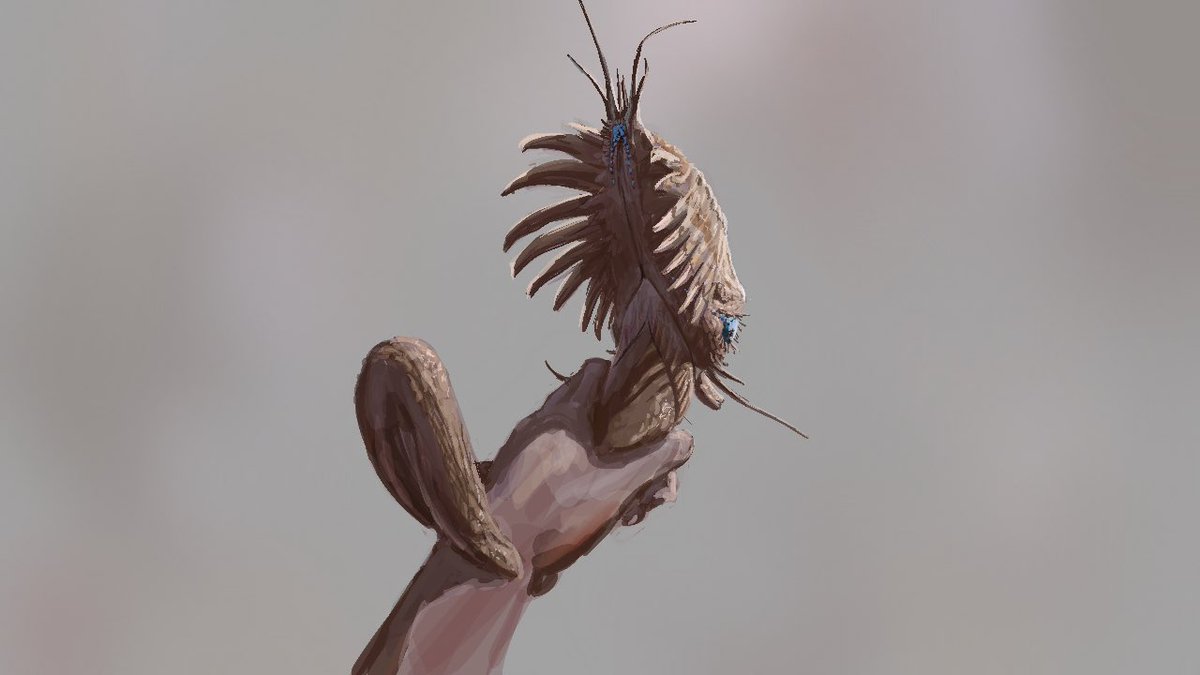 To the south they have kept small ,however on the north they became bigger, with a higher biomass the population on that side now isolated from the og gene pool drifted towards bigger sizes  and diversified the species they could feed upon #bivalvopia