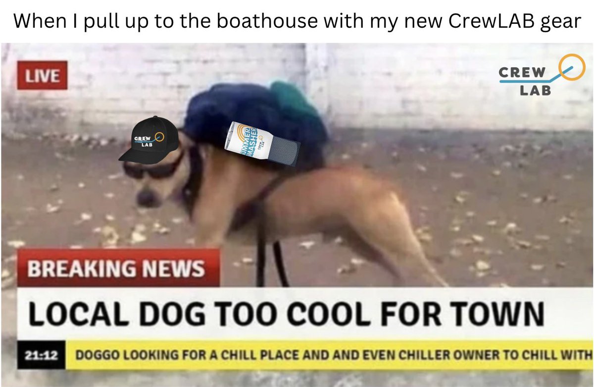 Go check out our new 2024 Summer Smasher merch in our online store!
Link in bio