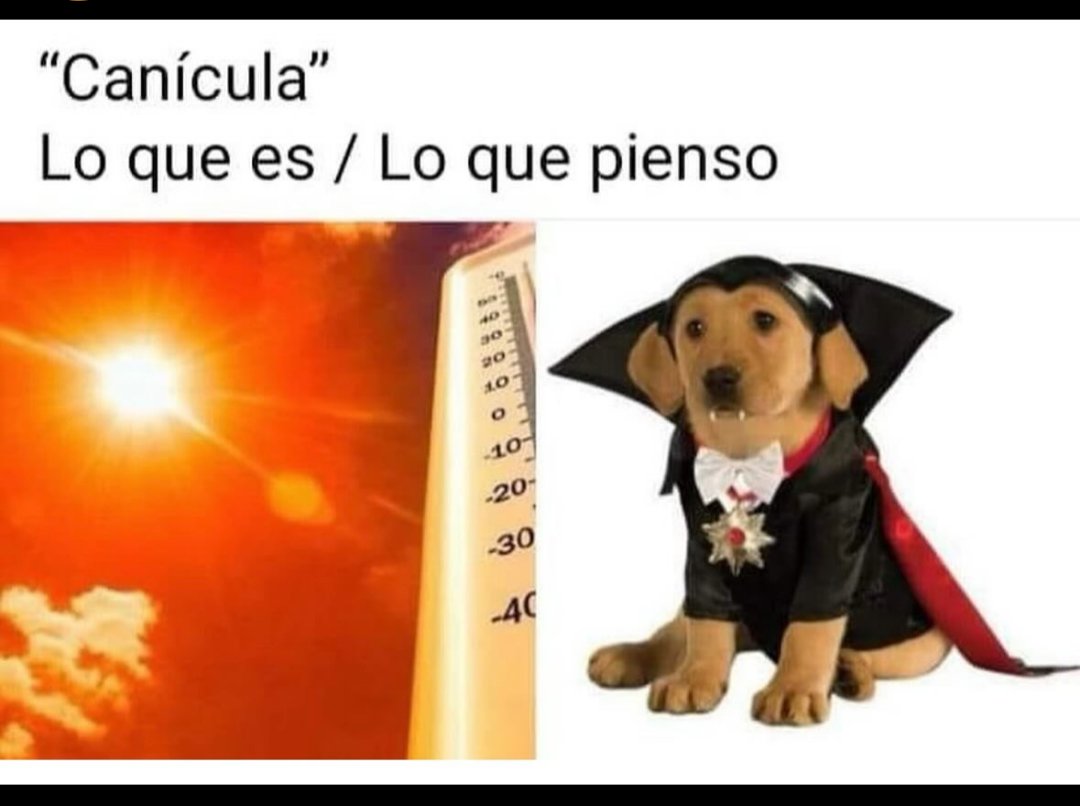 ★Pandemia Pizarro ★ ツ 💚 tweet media