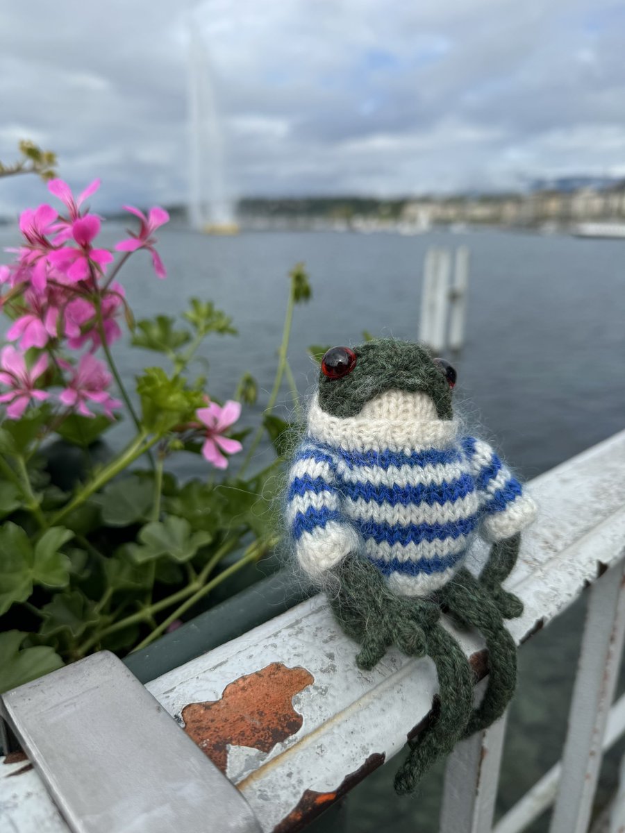 malilla_knit's tweet photo. 호사를 누리는 초롱이!! 융프라우에 가다!!😘🌲 https://t.co/y0s5IZL4lO