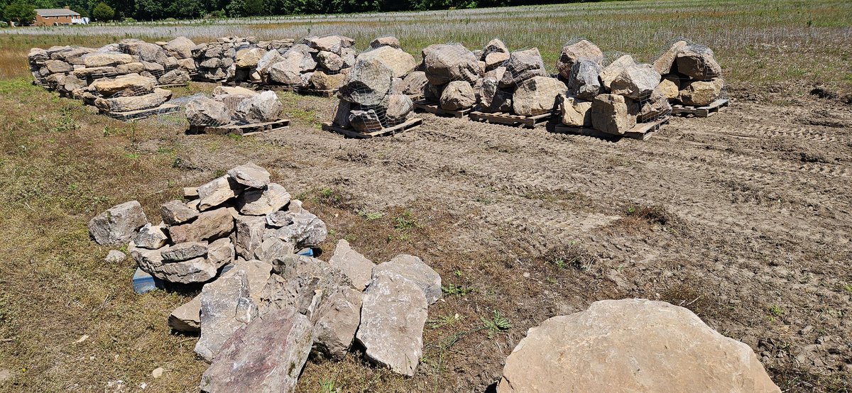 Christo43928619's tweet photo. So it begins...
Follow me over the next few weeks and see how we transform a backyard into an oasis. #grotto #recpond #waterfalls #splashpad #wetlandfiltration #bellponds https://t.co/GOWDOxmPyA