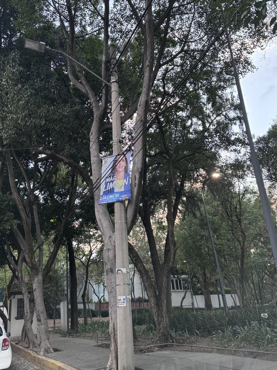 ricardodigo's tweet photo. Todavía hay mucha basura tuya @lialimon . Ojalá la puedas recoger antes de que te vayas https://t.co/L5nHulAJ5U