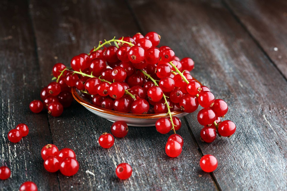 unwoundadmin's tweet photo. @evanf1997_ Currants, currants everywhere. https://t.co/SNOV724p4T