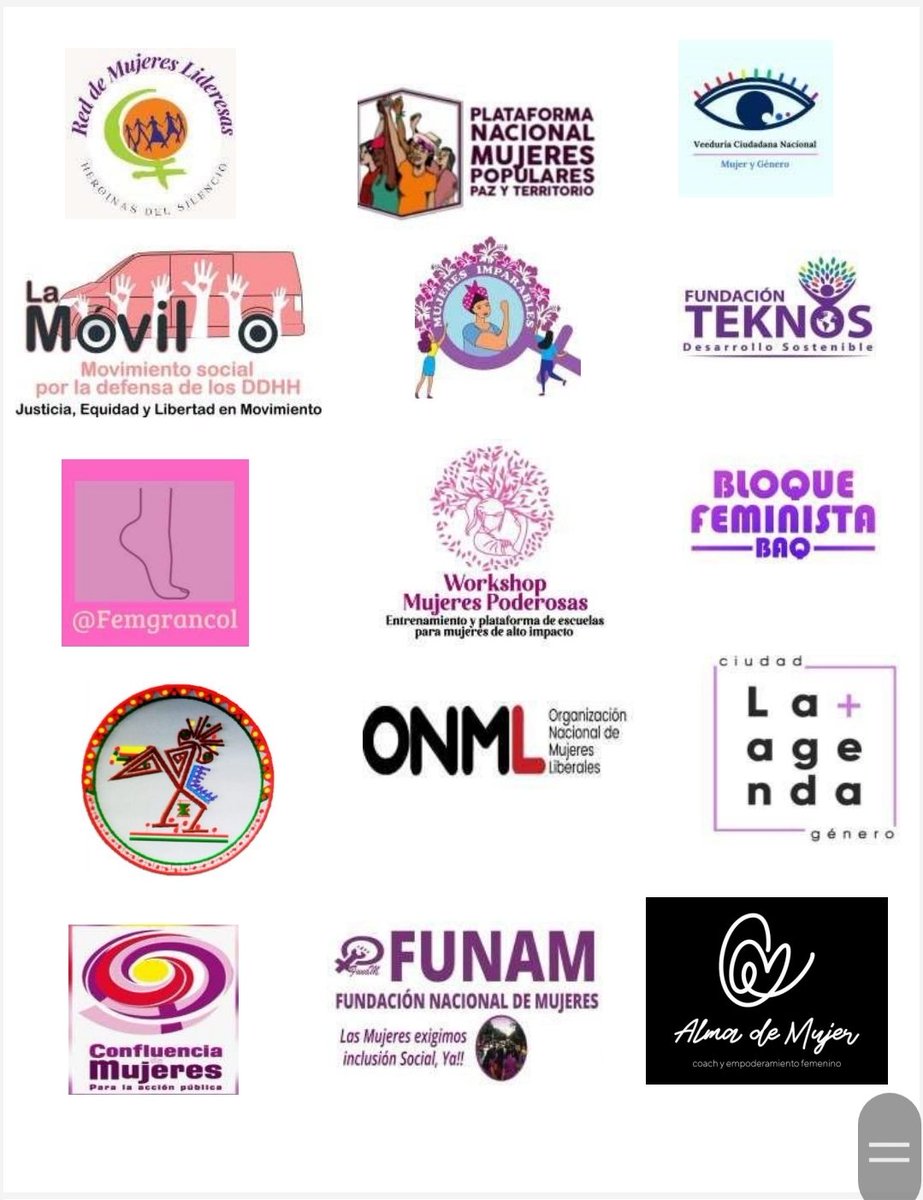 Movimiento Amplio Social de Mujeres y Diversidad tweet media