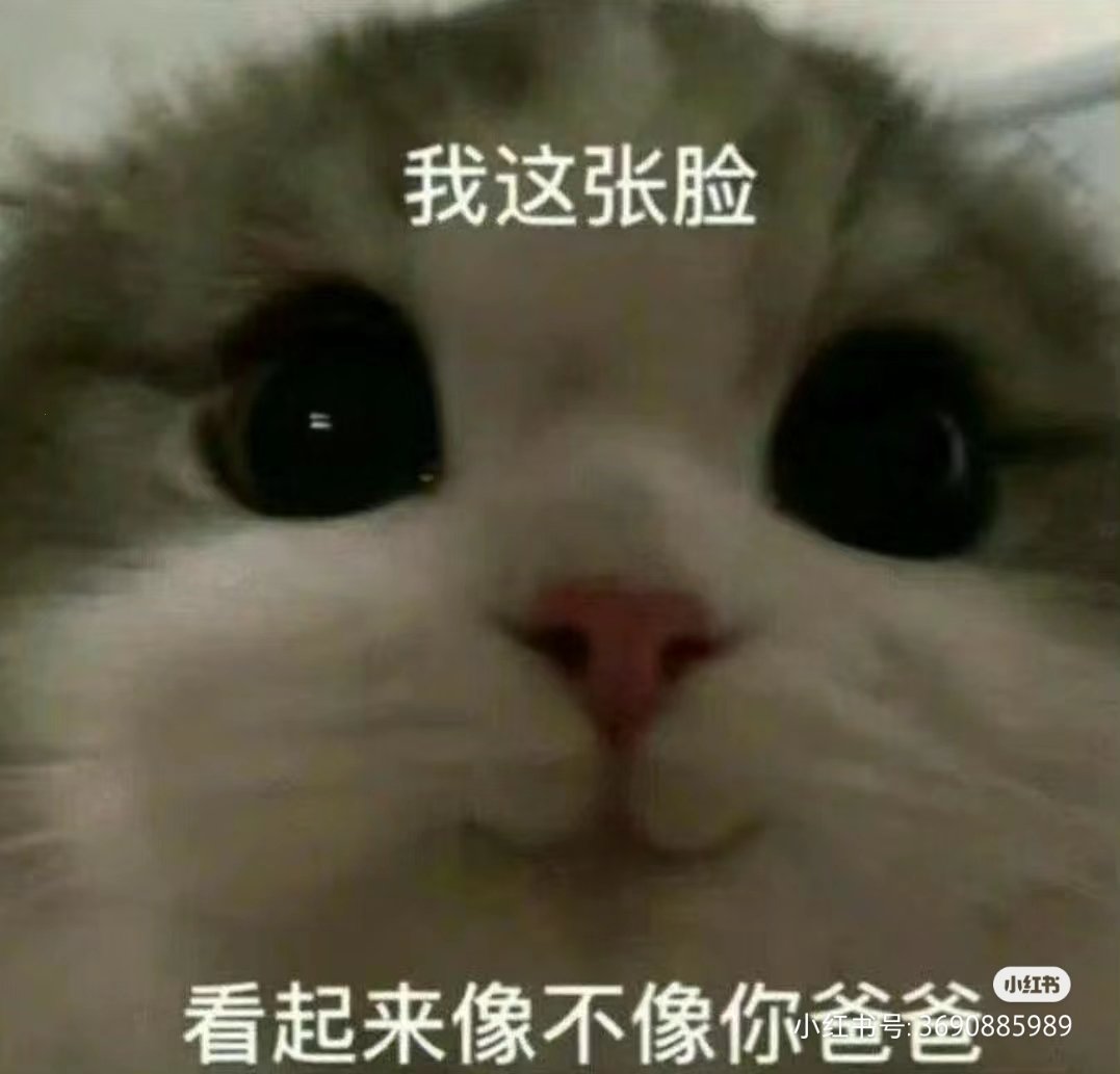 sushntng1's tweet photo. 嘟嘟嘟，早上好呀？你们这些杂鱼宝贝儿 https://t.co/6wbbRQx0uS