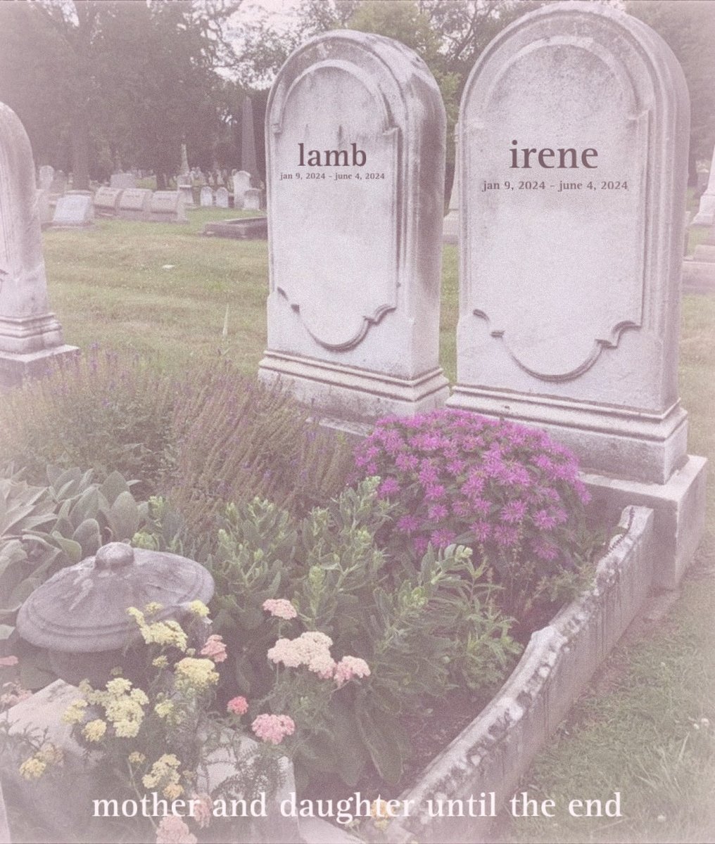 cupidlambs's tweet photo. thank you everyone. obviously we can’t post our real gravestones, but irene and i have been thinking about a joint suicide for years now. we realized that we truly only have each other and decided that today is the day we do it. https://t.co/123FTSPYBk
