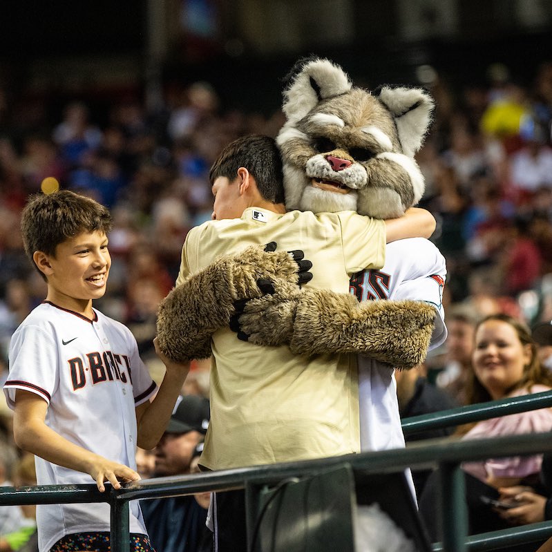 It’s National Hug a Cat Day! Here’s to a lot more hugs the rest of this season! 😸