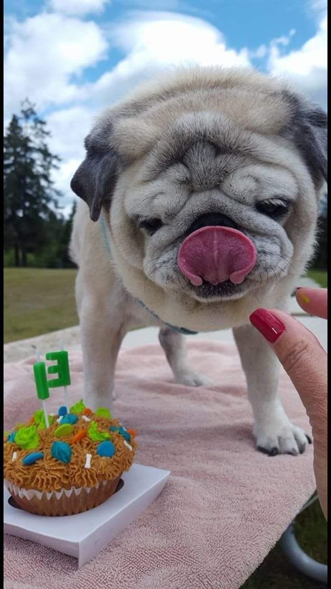 Today is my birthday and I am waiting for your wishes🥰