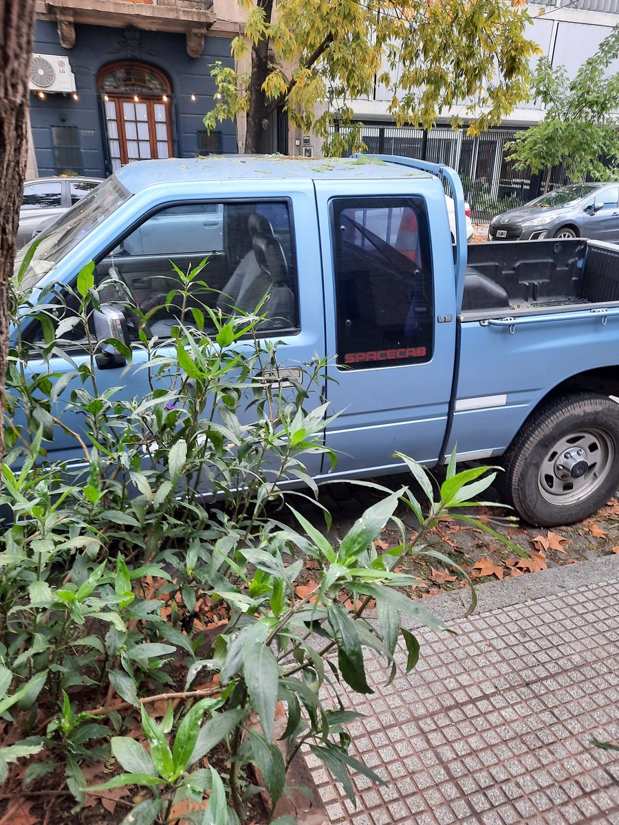 Hernan Ratto tweet media