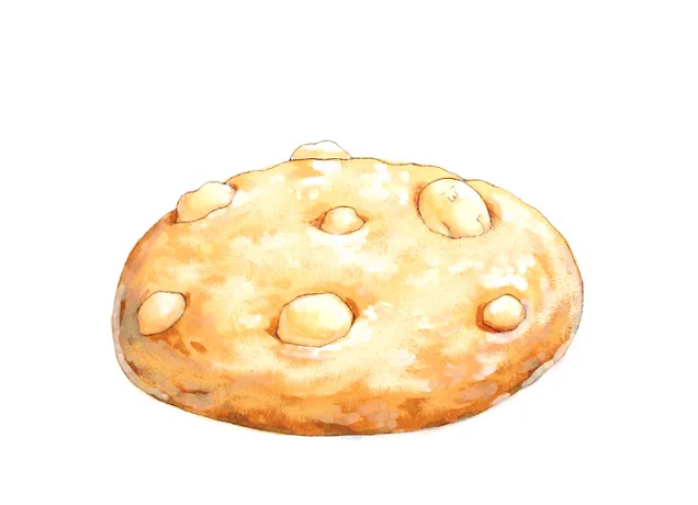 ホワイトチョコのソフトクッキー #荒巻スカルチノフ #イラスト #クッキー