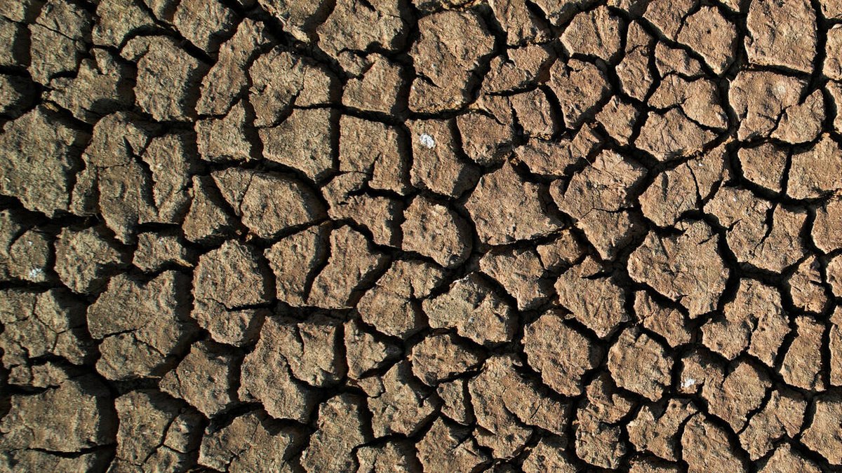 Climat : le réchauffement causé par l'homme atteint un 'rythme sans précédent' ➡️ go.france24.com/sjc