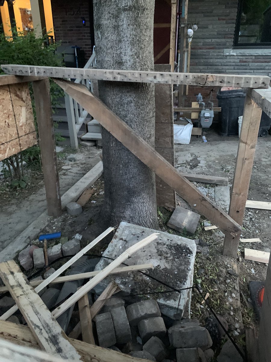 Nice lumber, shame about the tree. <a href="/311/">311</a> . 
Who is minding the urban forest?